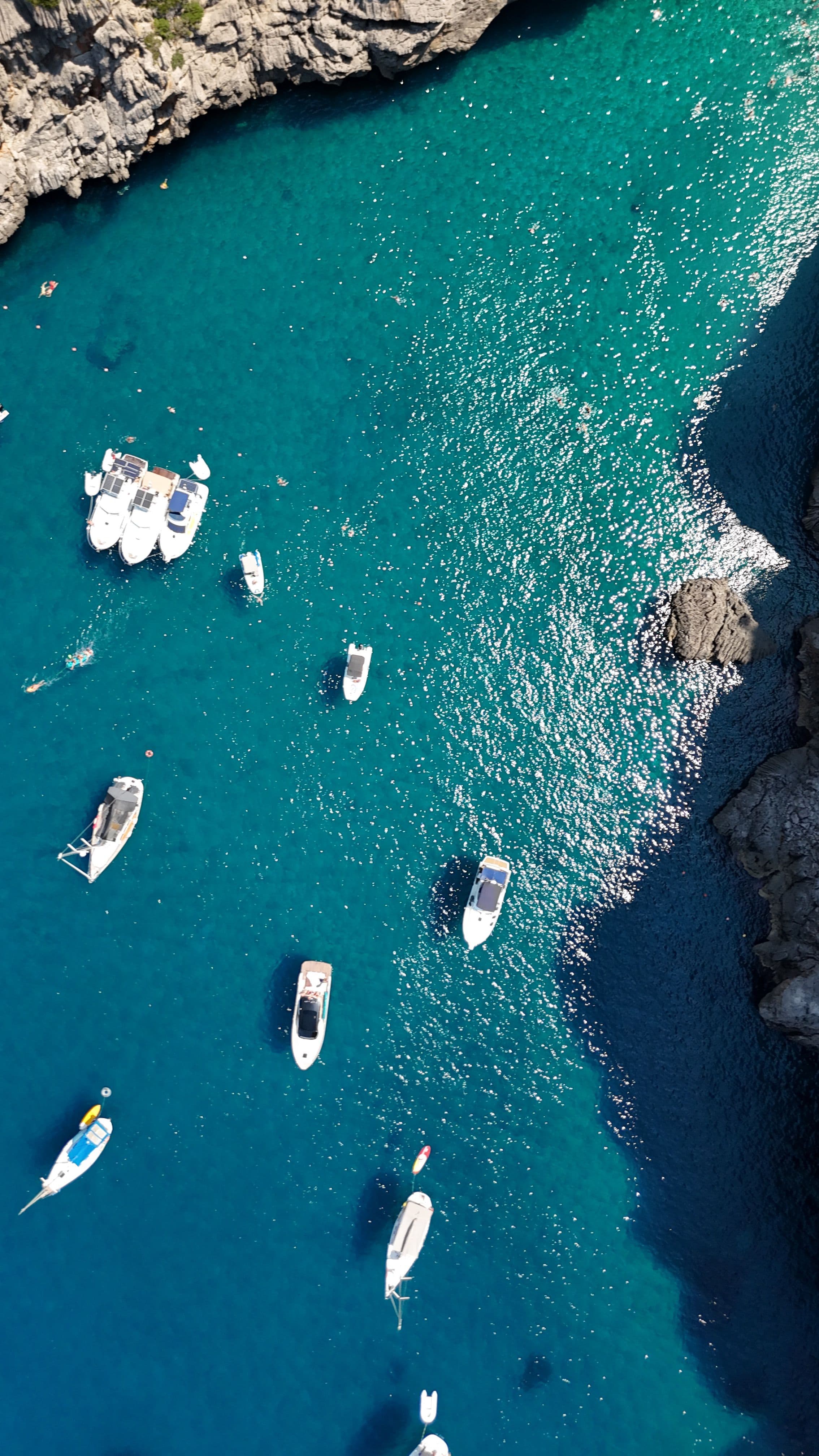 Barcos en alquiler en Valencia